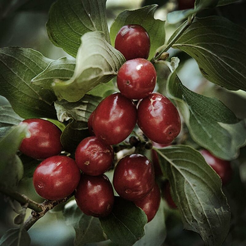 56218114_129998808103223_8551524713351486957_n